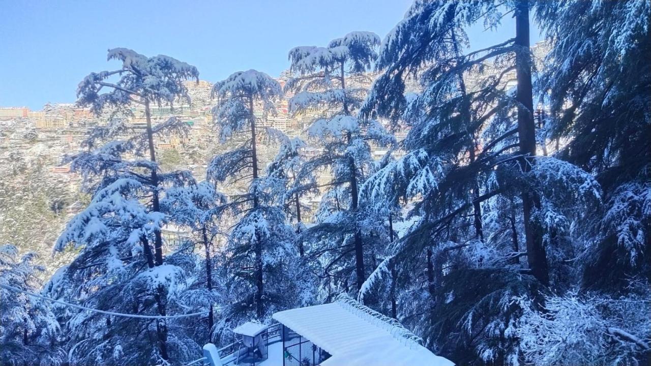 Mountain Zest-Simla Royale Near Mall Road-Free Pickup From Railway Station Simla 外观 照片